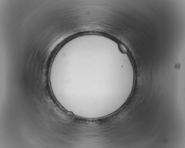 X0000115000975200911161533