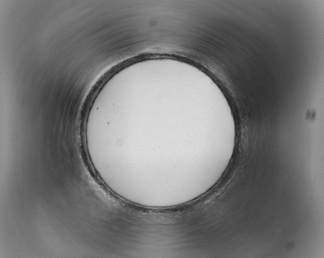 X0000115000976200911161533