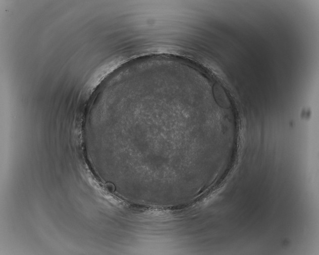 X0000115000977200911161533