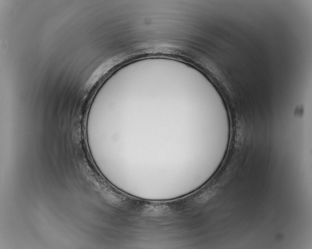 X0000115000978200911161533