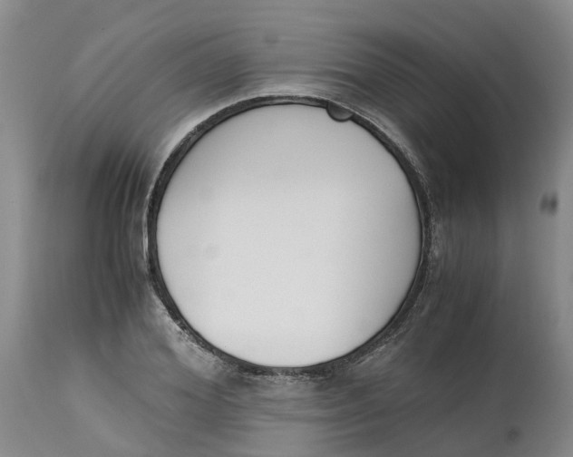 X0000115000980200911161533