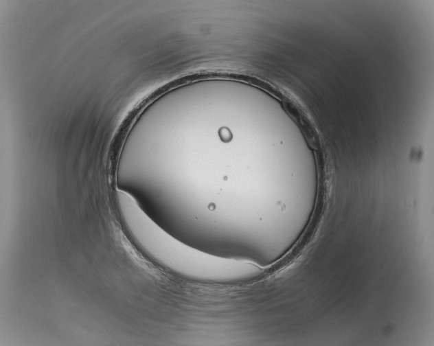 X0000115000981200911161533