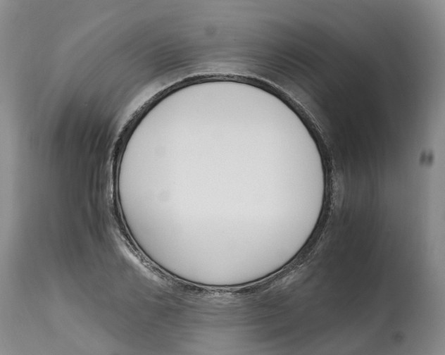 X0000115000982200911161533