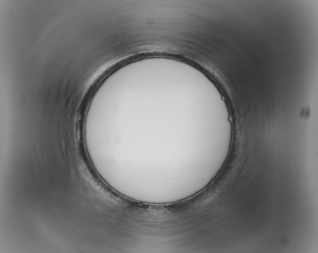 X0000115000983200911161533