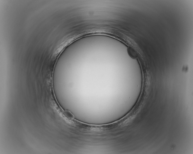 X0000115000985200911161533