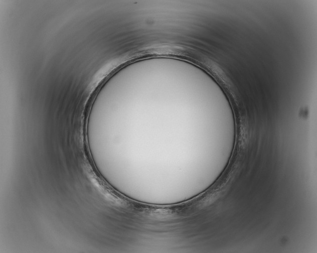 X0000115000986200911161533