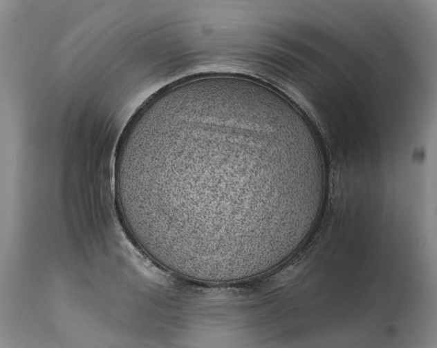 X0000115000988200911161533