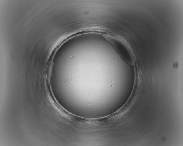 X0000115000989200911161533