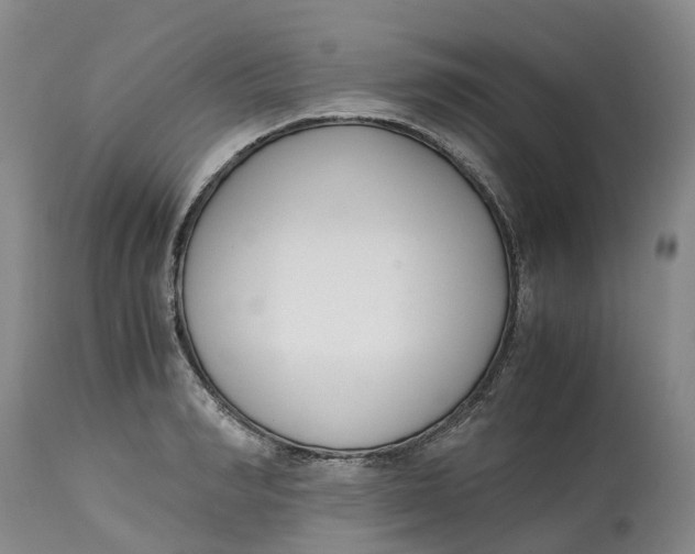 X0000115000990200911161533