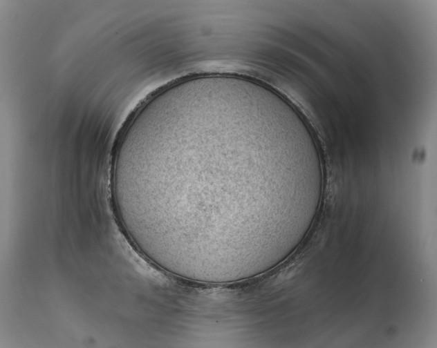 X0000115000992200911161533