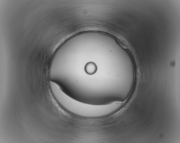 X0000115000993200911161533