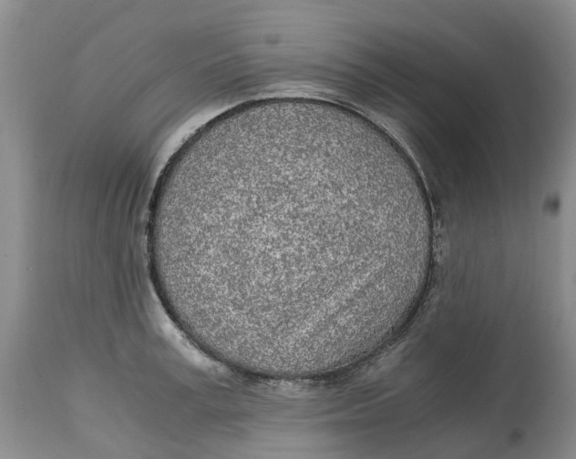 X0000115000995200911161533