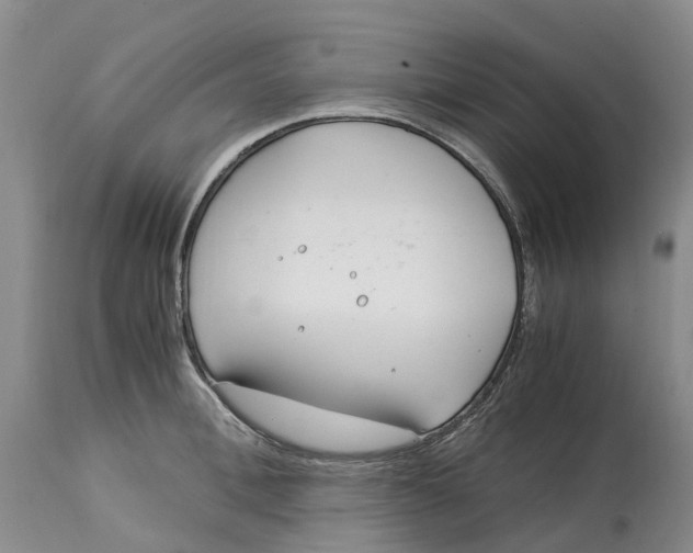 X0000115000996200911161533