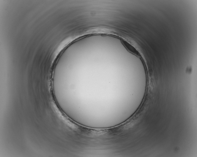 X0000115000997200911161533