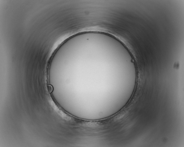 X0000115000998200911161532