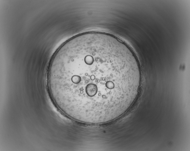 X0000115000999200911161532