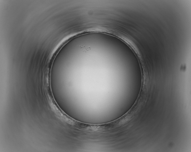 X0000115001000200911161532