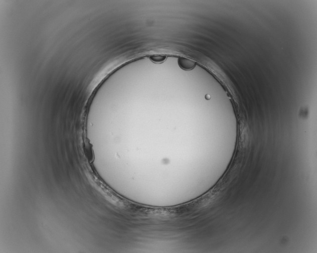 X0000115001002200911161532