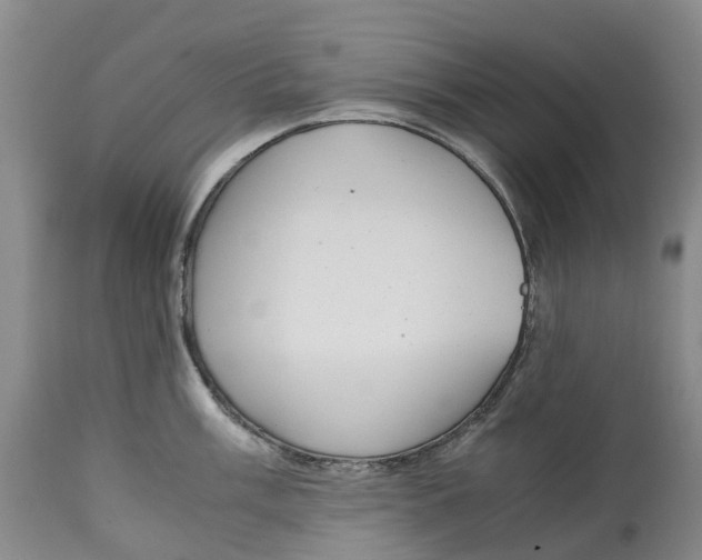 X0000115001003200911161532