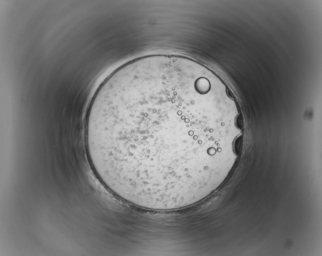 X0000115001004200911161532