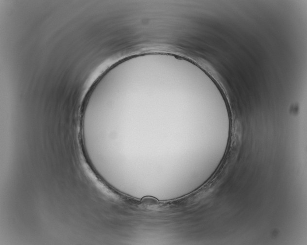 X0000115001005200911161532