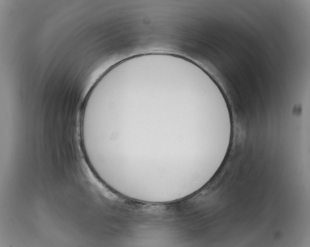 X0000115001006200911161532