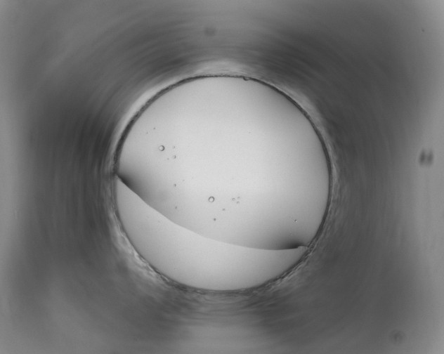 X0000115001008200911161532