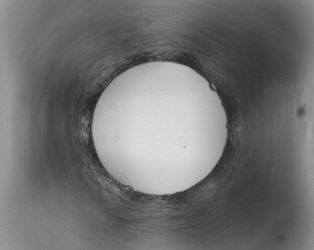 X0000115001010200911161532