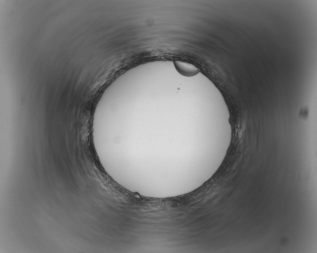 X0000115001012200911161532