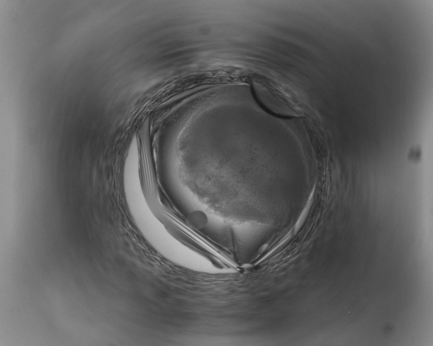 X0000115001013200911161532