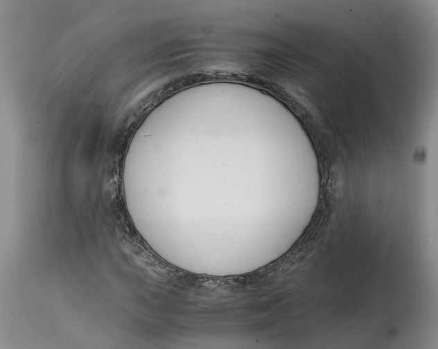 X0000115001015200911161532