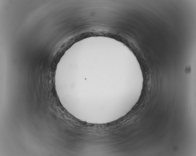 X0000115001016200911161532