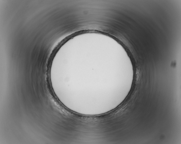 X0000115001020200911161532