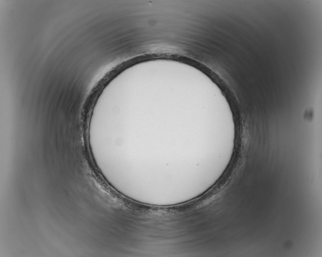 X0000115001022200911161532