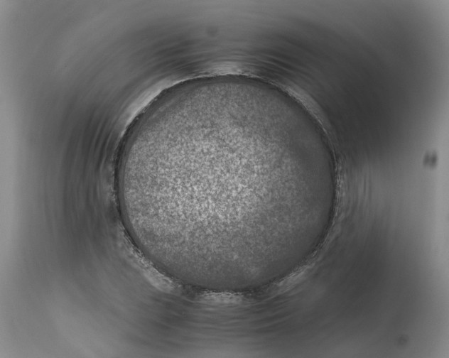 X0000115001023200911161532