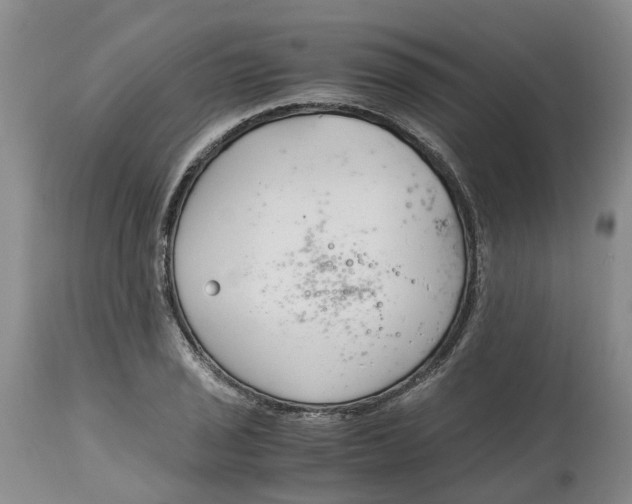 X0000115001029200911161532