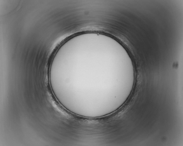 X0000115001030200911161532