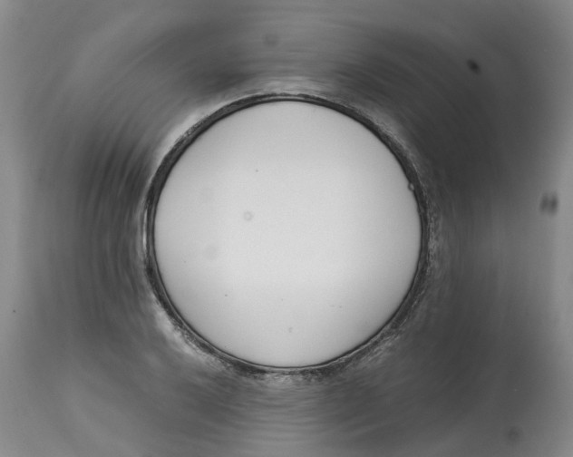 X0000115001032200911161532