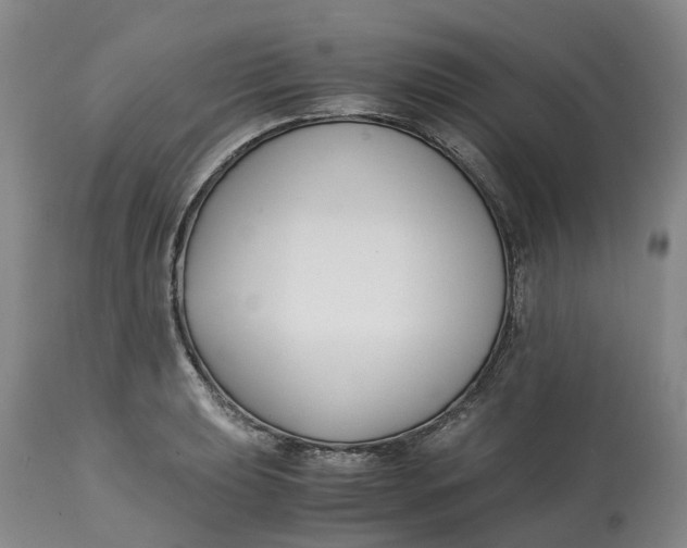 X0000115001039200911161532