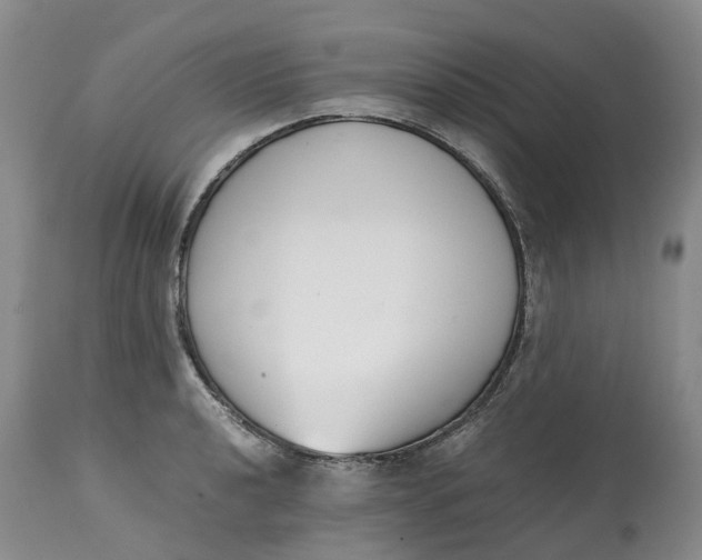 X0000115001040200911161532