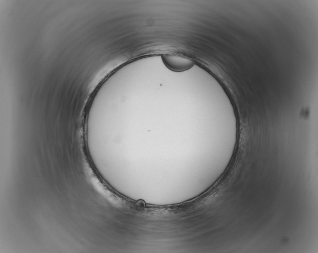 X0000115001042200911161532