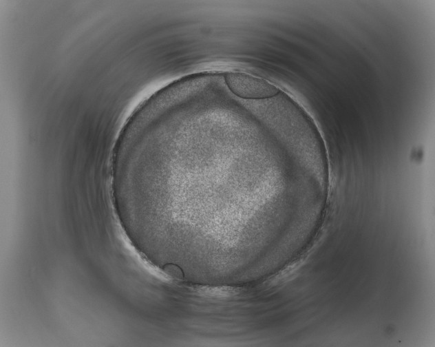 X0000115001045200911161532