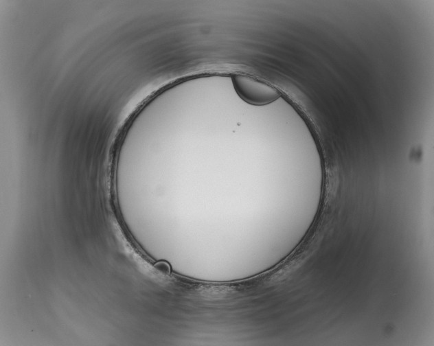 X0000115001046200911161532