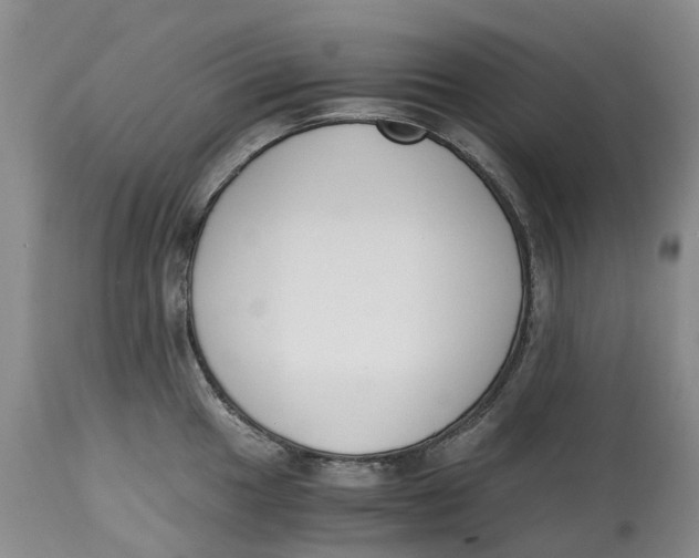 X0000115001049200911161532