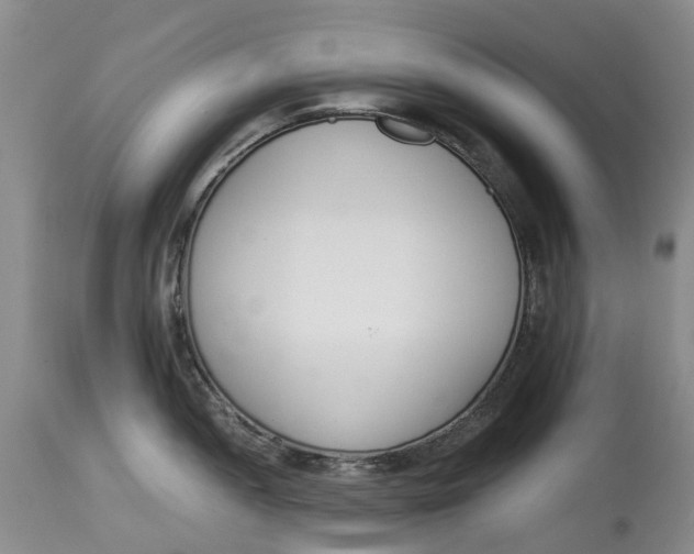 X0000115001052200911161532