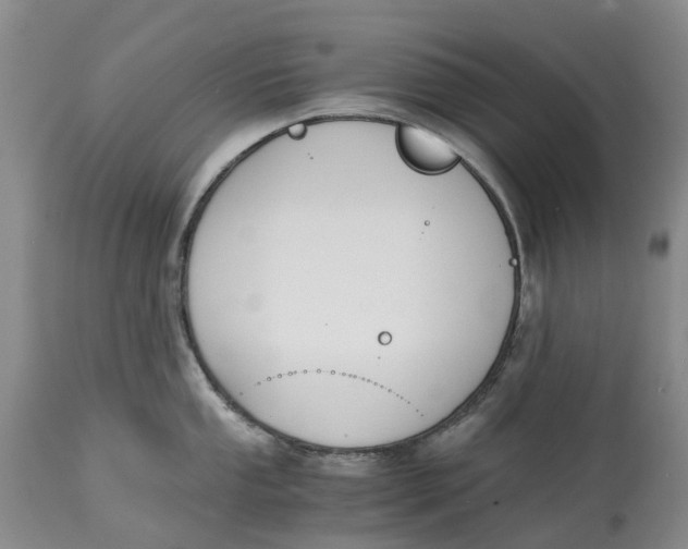 X0000115001053200911161532