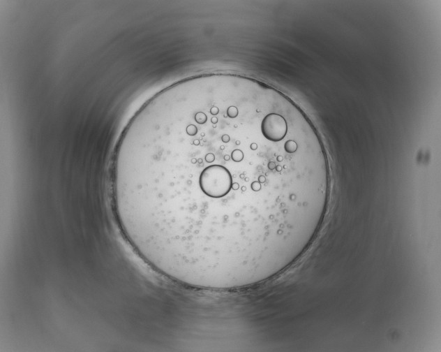 X0000115001056200911161532