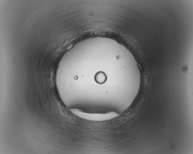 X0000115001060200911161532