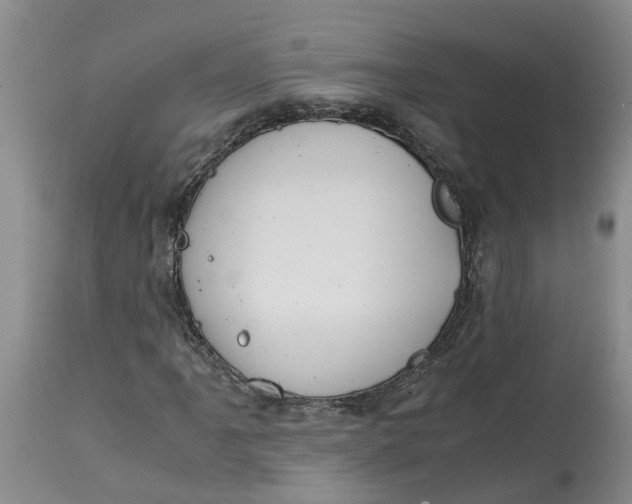 X0000115001061200911161532