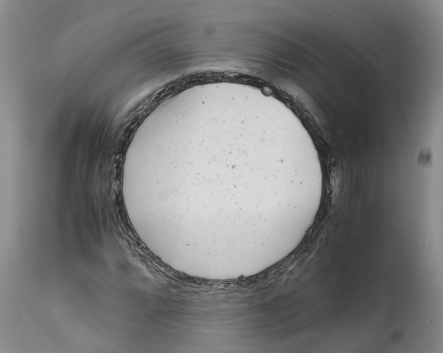 X0000115001064200911161532